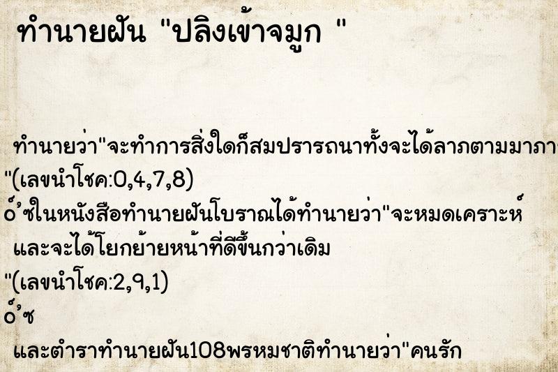 ทำนายฝันทำนายฝันปลิงเข้าจมูก